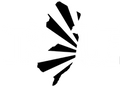 True Jersey